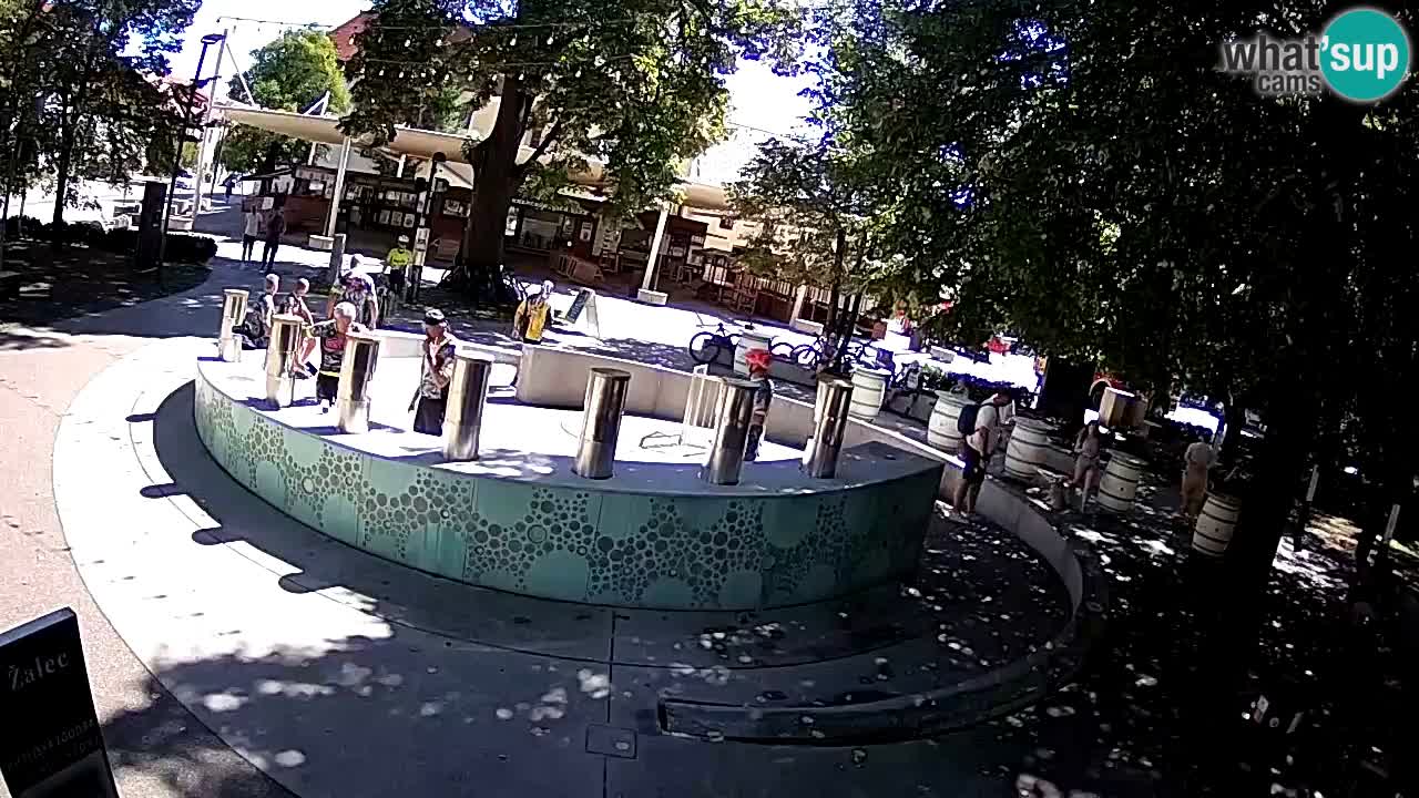 Spletna kamera Fontana Piv – Zeleno zlato Žalec