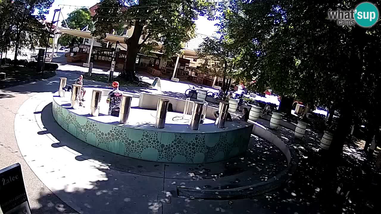 Bier-Springbrunnen Webcam Žalec – Grünen Goldes