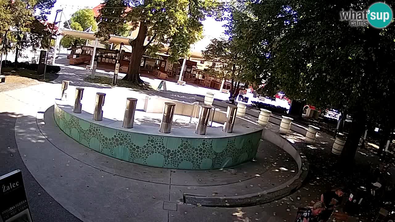Spletna kamera Fontana Piv – Zeleno zlato Žalec