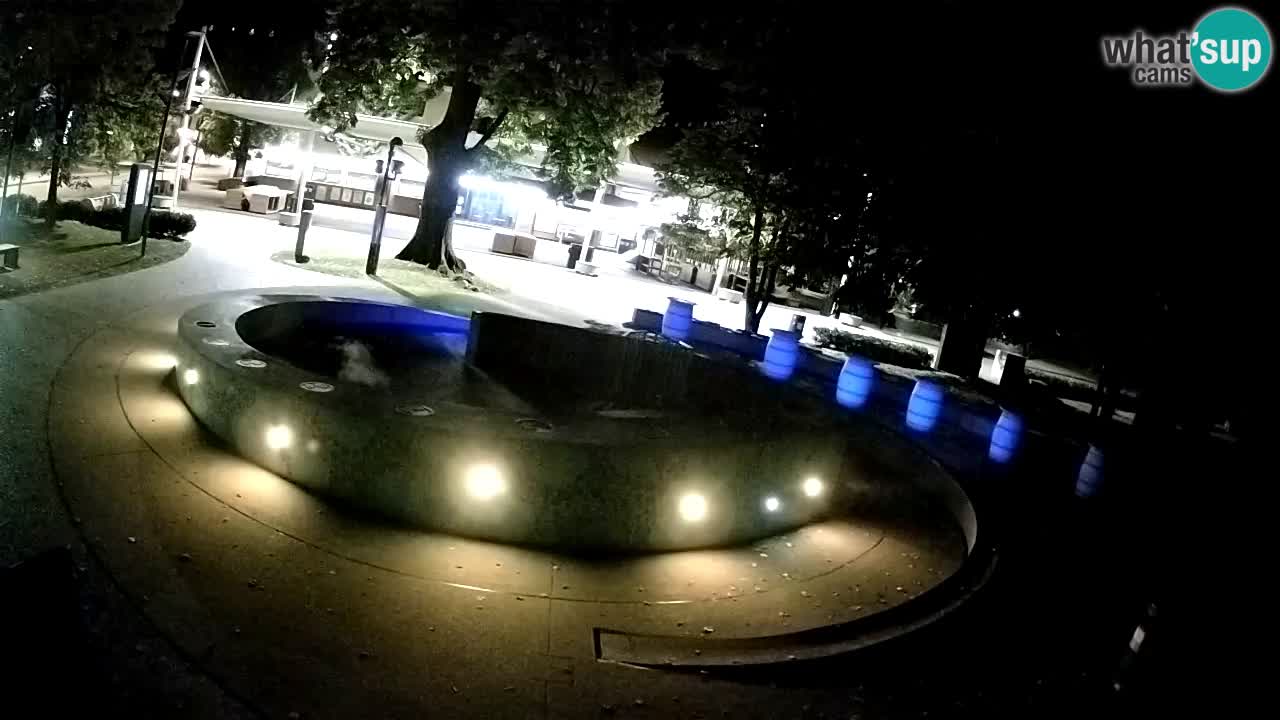 Fontana di birra Webcam – Oro verde – Žalec