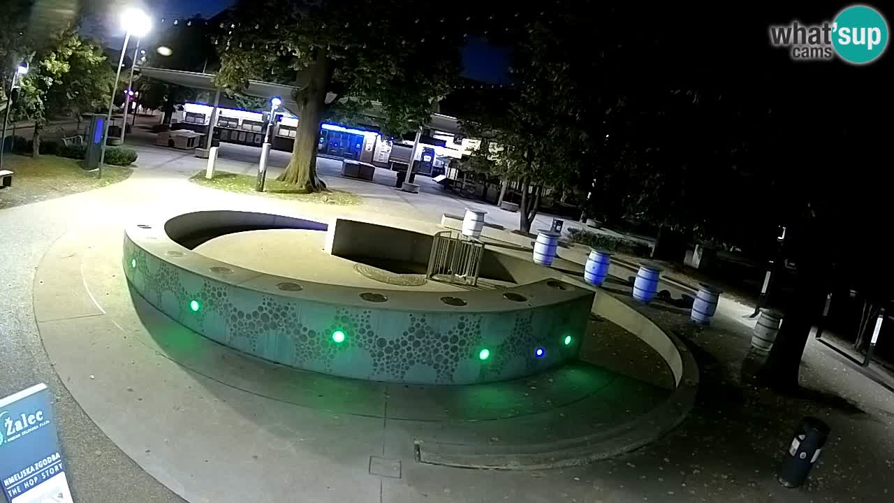 Spletna kamera Fontana Piv – Zeleno zlato Žalec