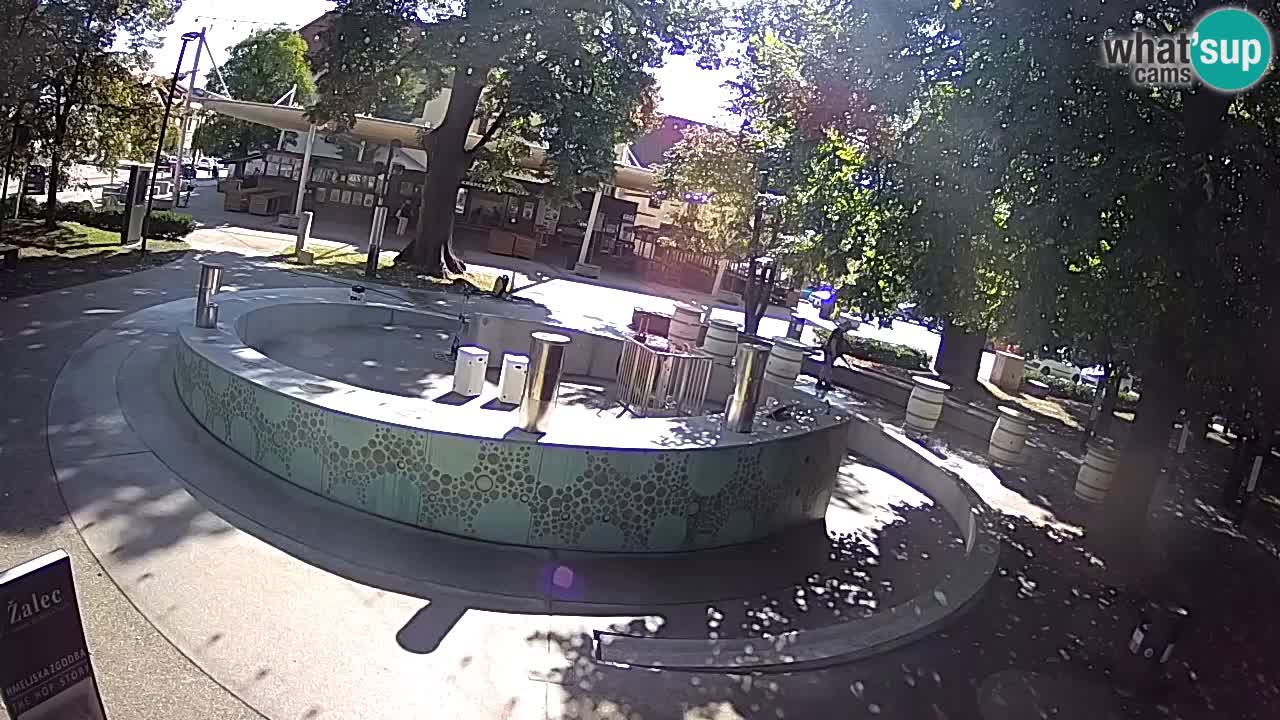 Spletna kamera Fontana Piv – Zeleno zlato Žalec