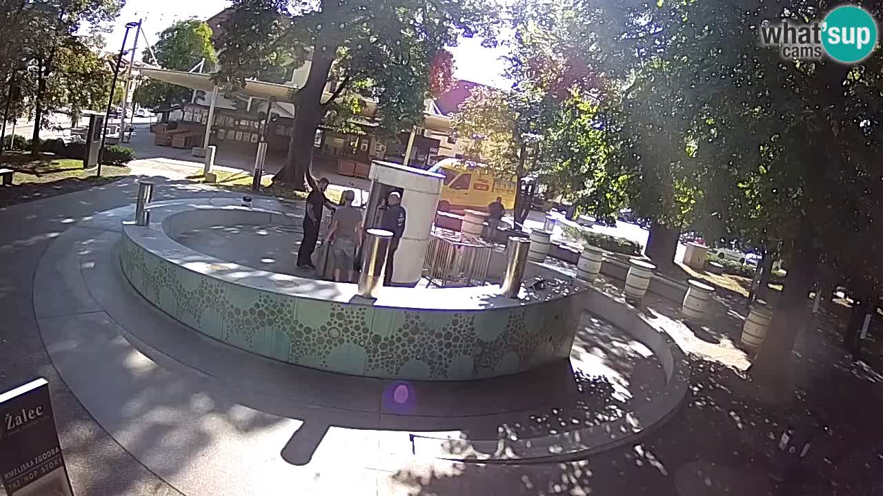 Fontaine à bière LIVE webcam – Or vert – Žalec
