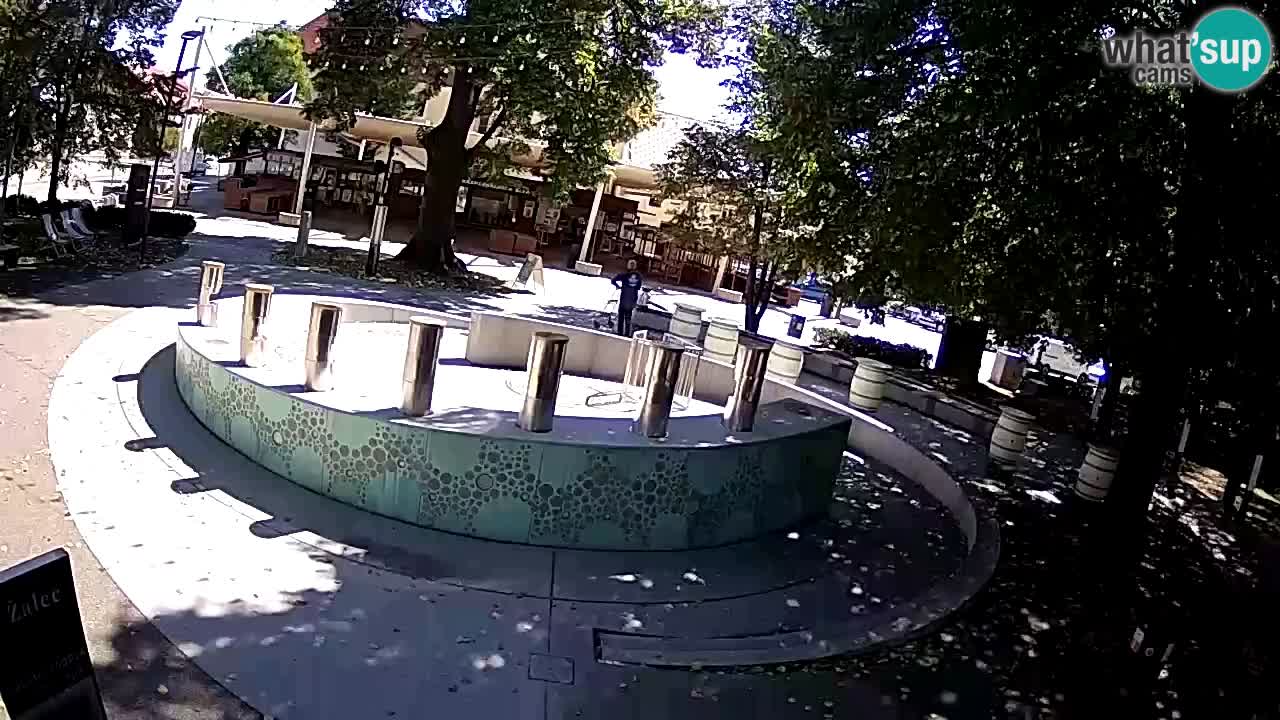 Bier-Springbrunnen Webcam Žalec – Grünen Goldes