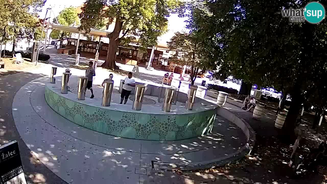Camera en vivo Fuente de cerveza – Oro verde – Žalec