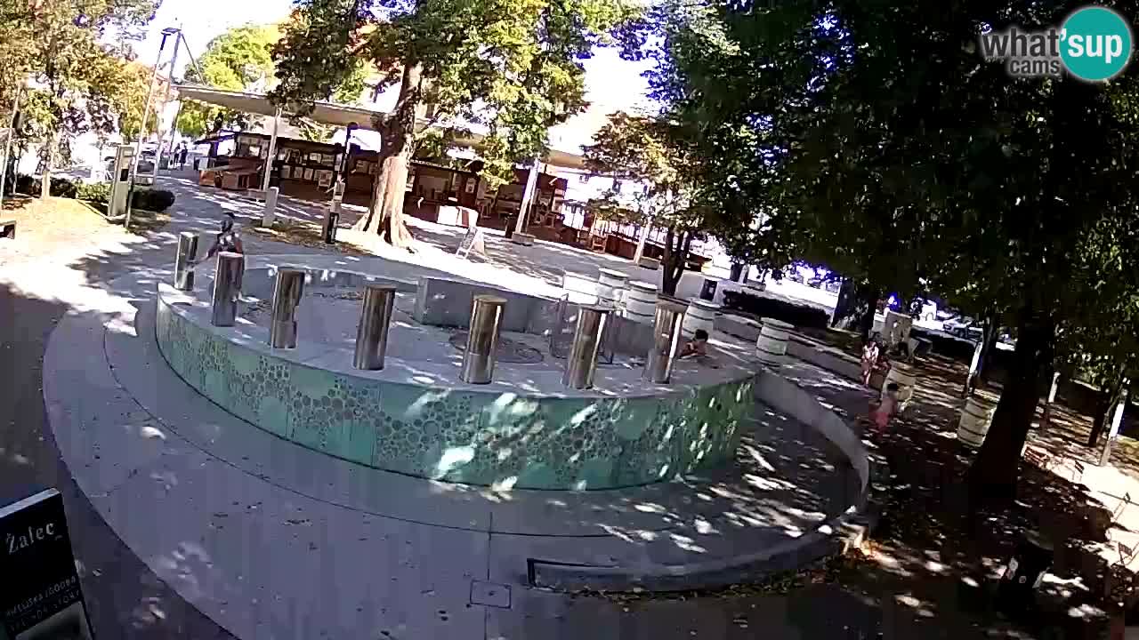 Fontana di birra Webcam – Oro verde – Žalec