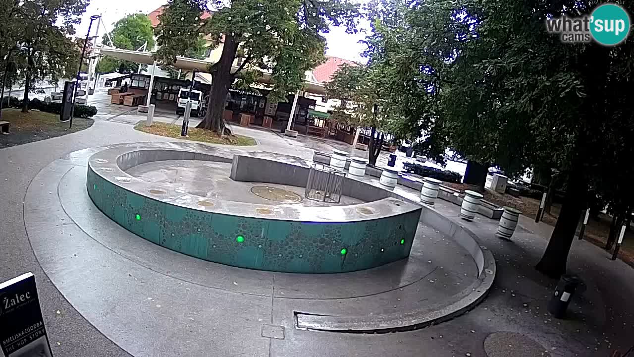 Fontana di birra Webcam – Oro verde – Žalec