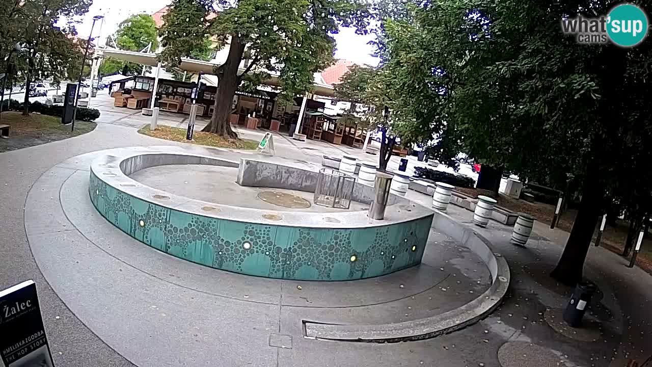Fontana di birra Webcam – Oro verde – Žalec