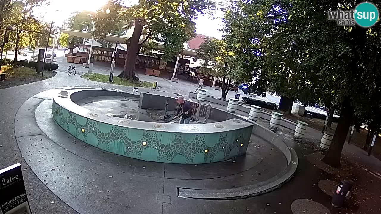 Web kamera Fontana piva – Zeleno zlato – Žalec