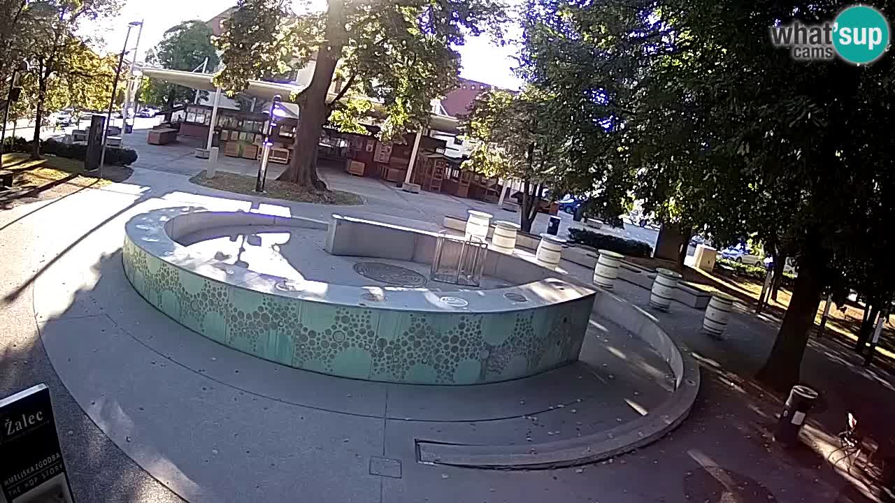 Bier-Springbrunnen Webcam Žalec – Grünen Goldes