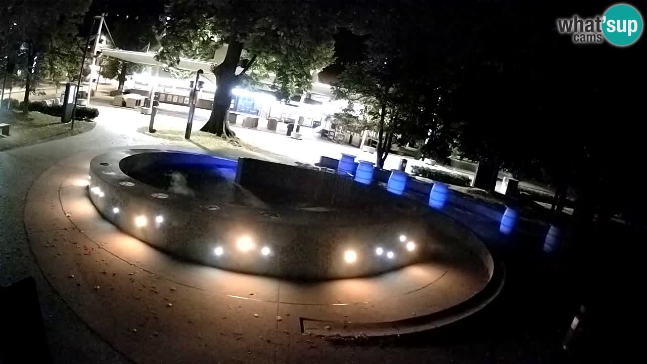 Bier-Springbrunnen Webcam Žalec – Grünen Goldes
