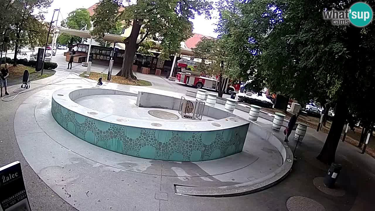 Camera en vivo Fuente de cerveza – Oro verde – Žalec