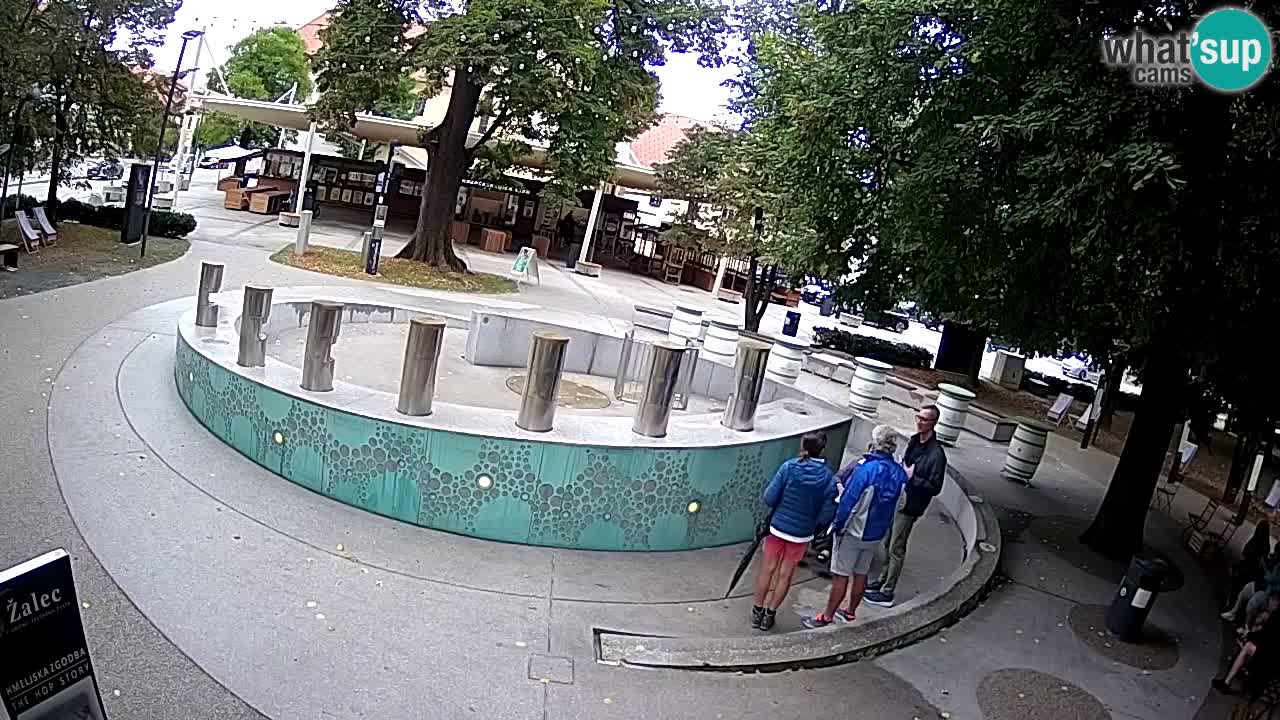 Fontana di birra Webcam – Oro verde – Žalec
