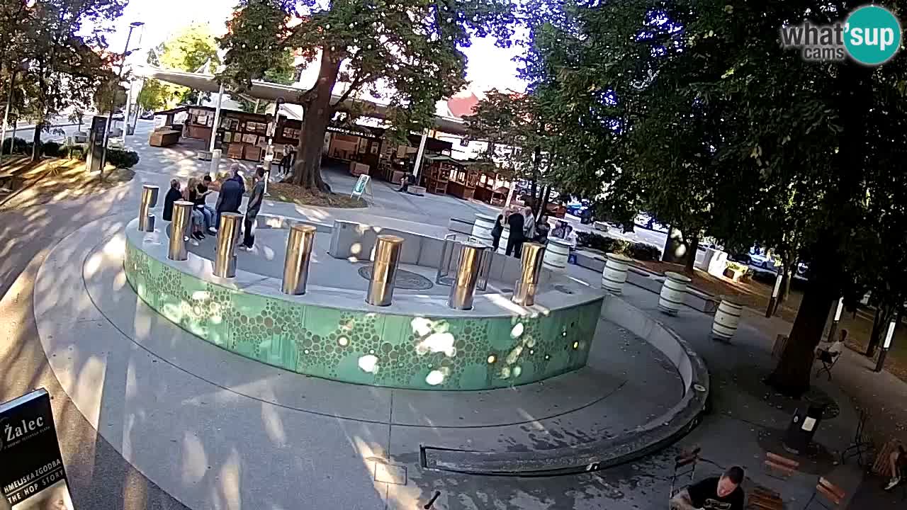Bier-Springbrunnen Webcam Žalec – Grünen Goldes