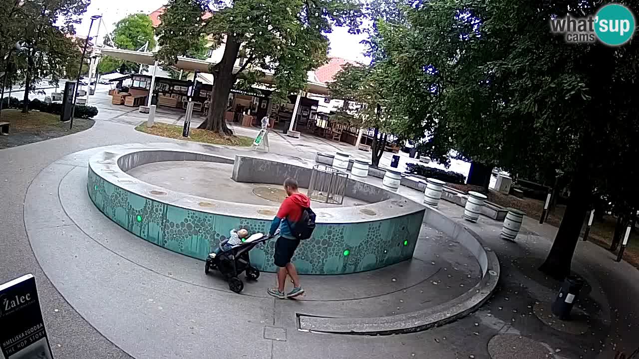Web kamera Fontana piva – Zeleno zlato – Žalec