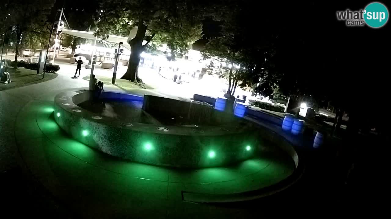 Camera en vivo Fuente de cerveza – Oro verde – Žalec