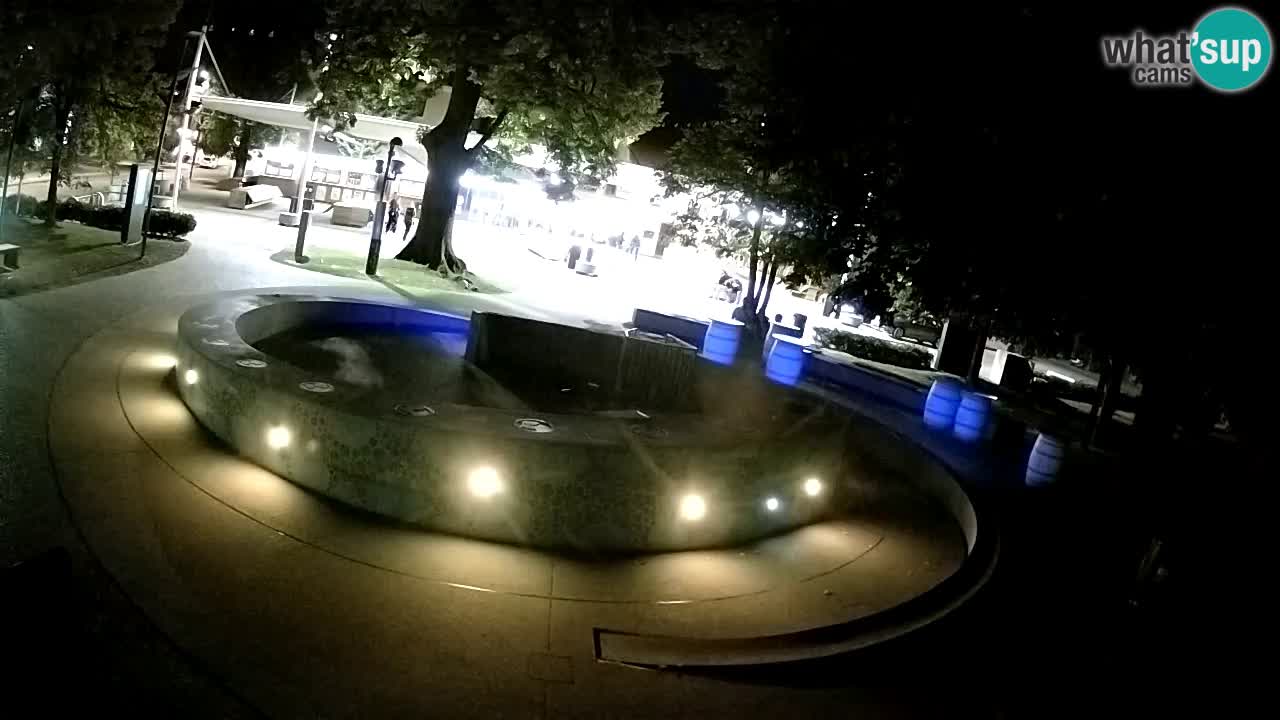 Bier-Springbrunnen Webcam Žalec – Grünen Goldes
