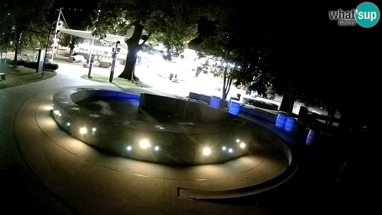 Bier-Springbrunnen Webcam Žalec – Grünen Goldes