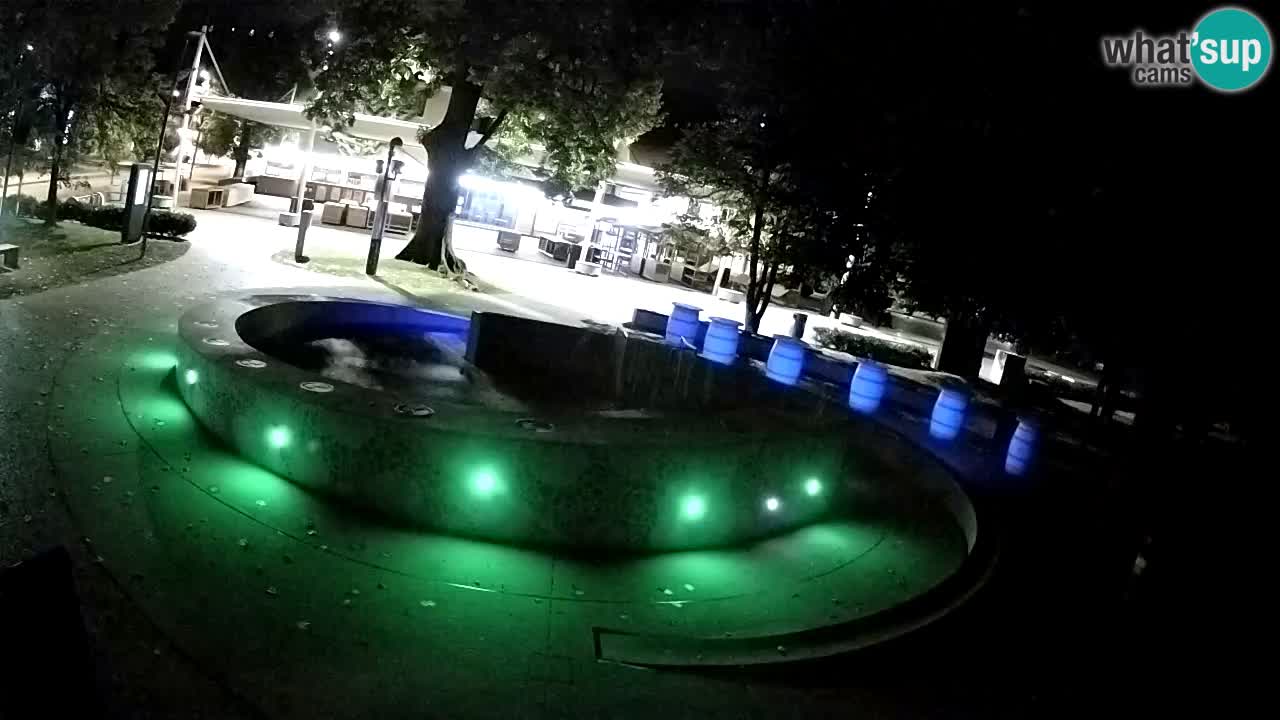 Spletna kamera Fontana Piv – Zeleno zlato Žalec