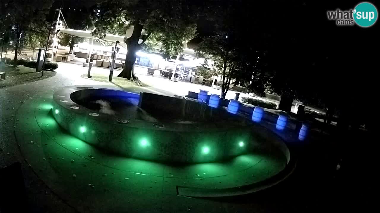 Spletna kamera Fontana Piv – Zeleno zlato Žalec