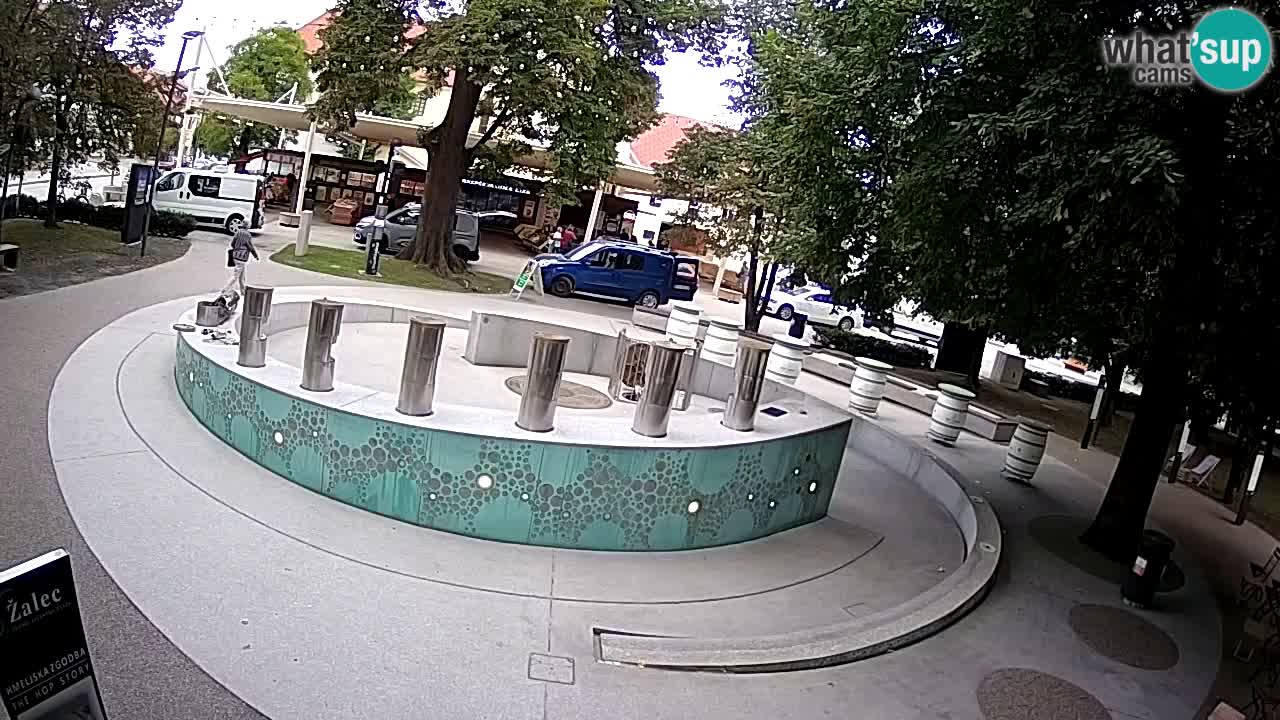 Fontana di birra Webcam – Oro verde – Žalec