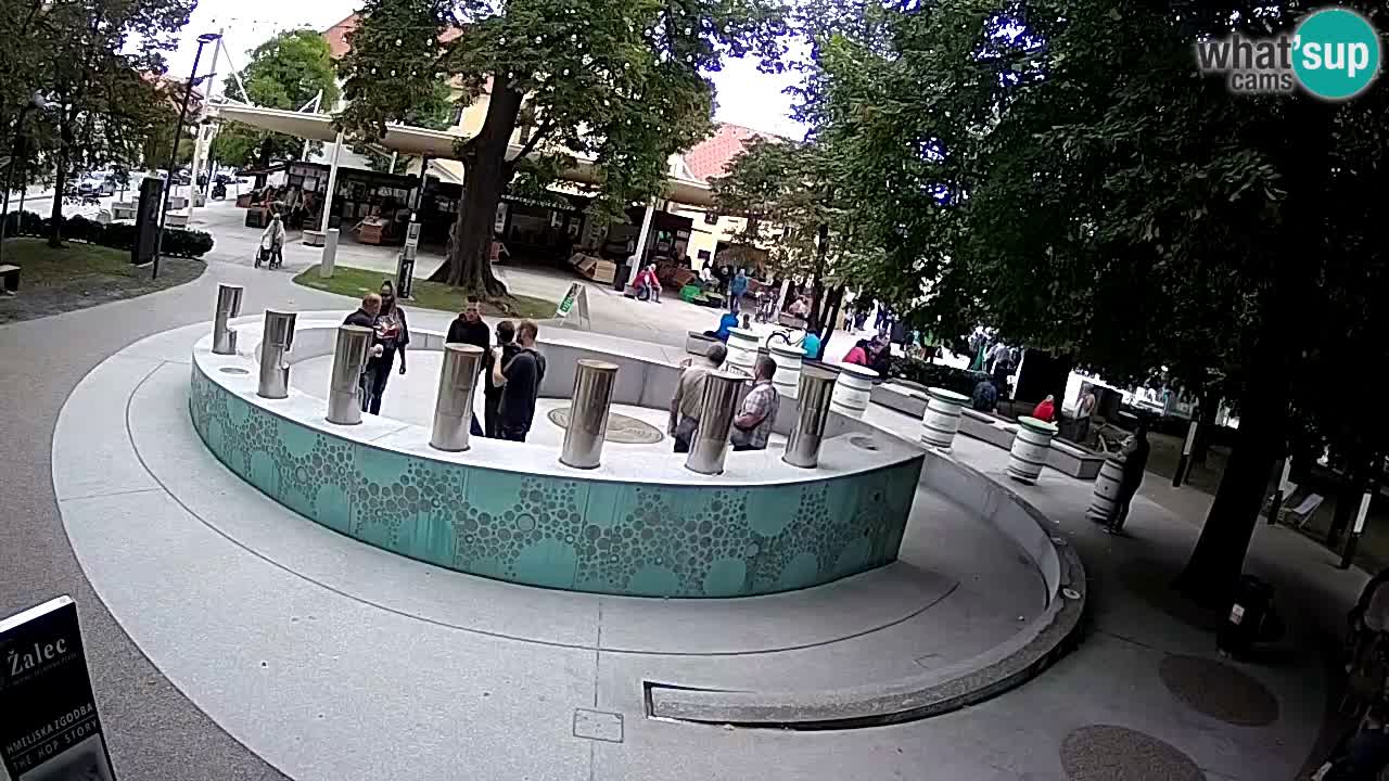 Fontana di birra Webcam – Oro verde – Žalec