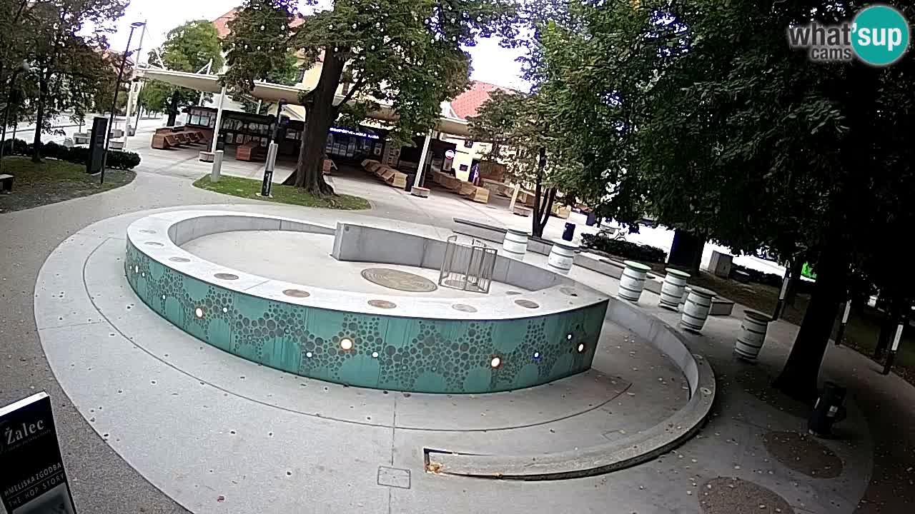 Camera en vivo Fuente de cerveza – Oro verde – Žalec