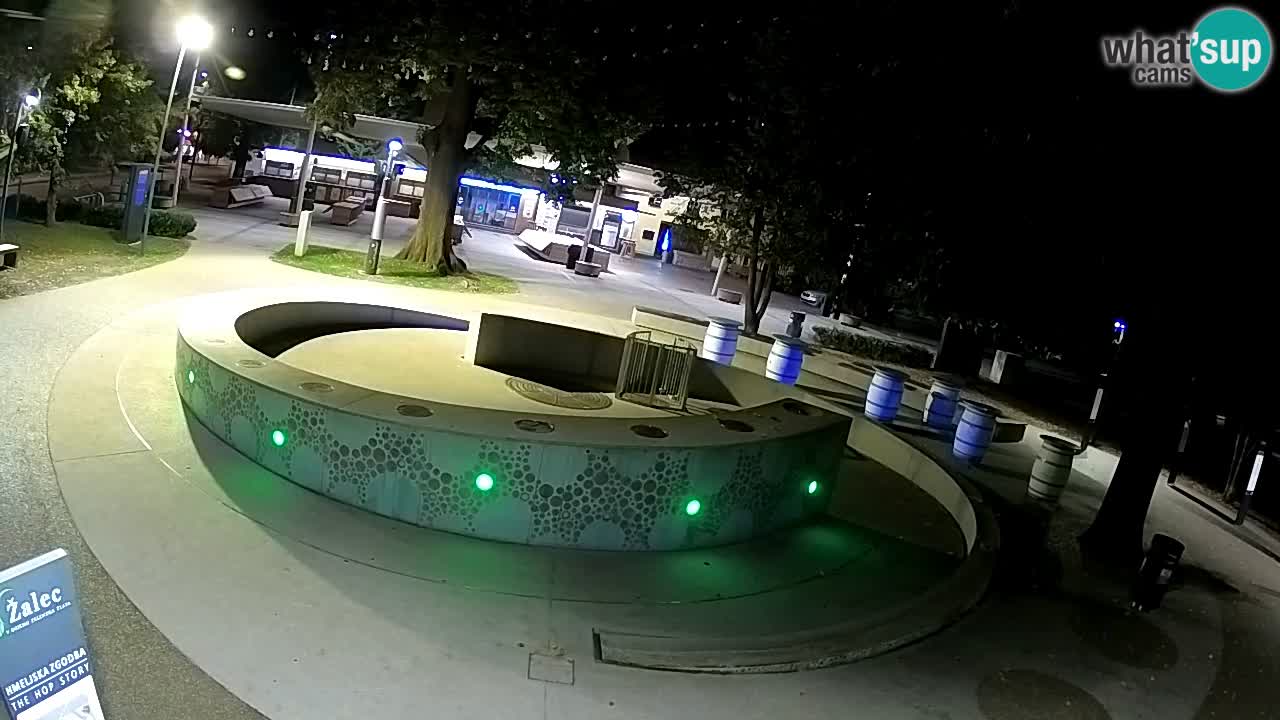 Spletna kamera Fontana Piv – Zeleno zlato Žalec