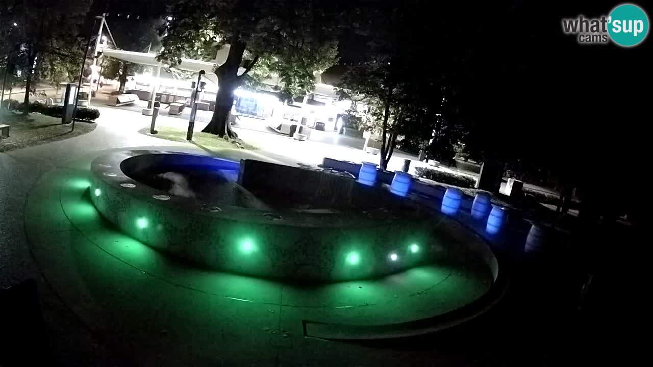 Fontaine à bière LIVE webcam – Or vert – Žalec