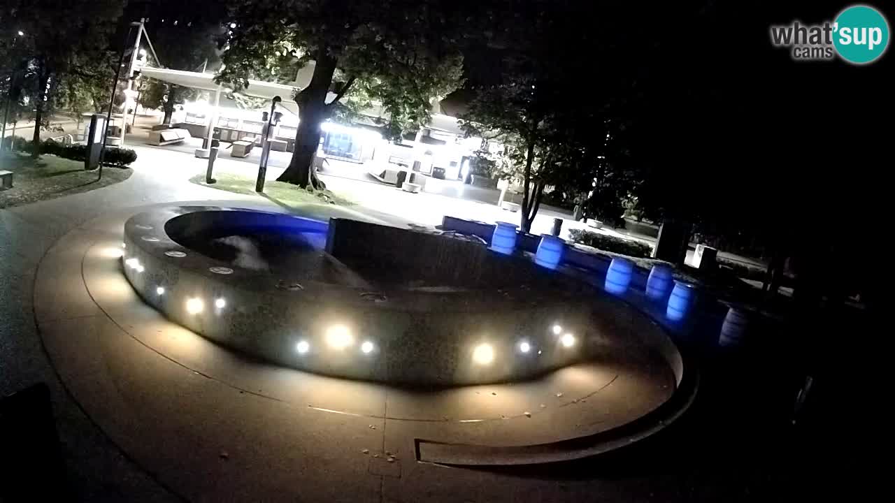 Bier-Springbrunnen Webcam Žalec – Grünen Goldes