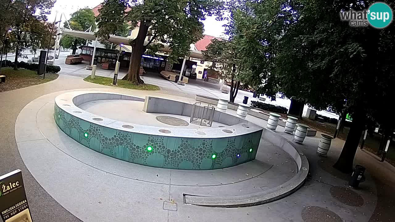 Camera en vivo Fuente de cerveza – Oro verde – Žalec