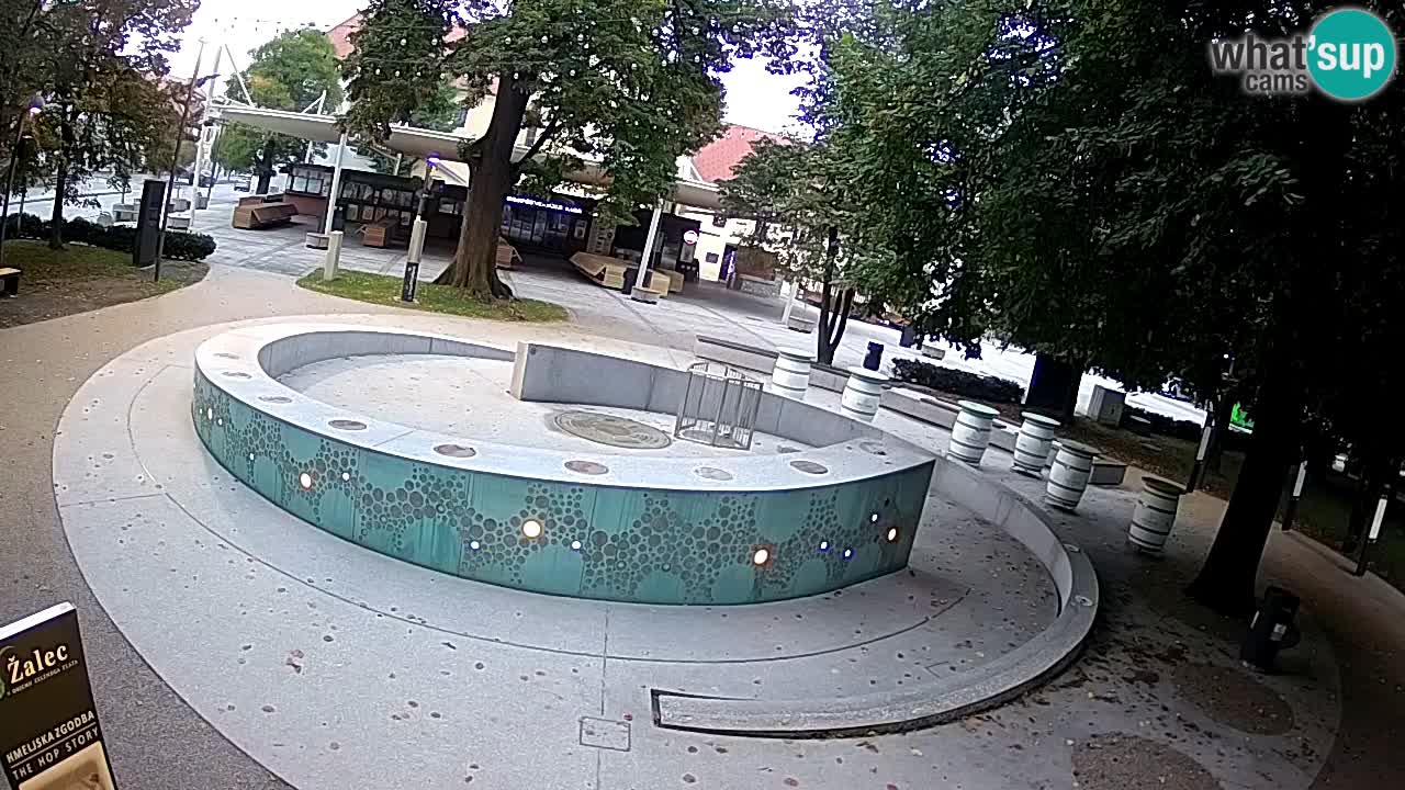 Fontana di birra Webcam – Oro verde – Žalec