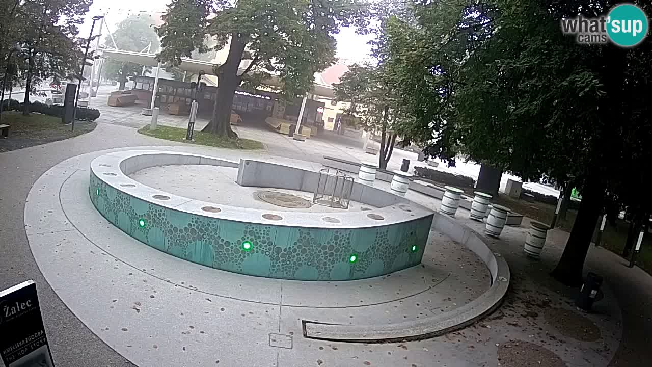 Spletna kamera Fontana Piv – Zeleno zlato Žalec