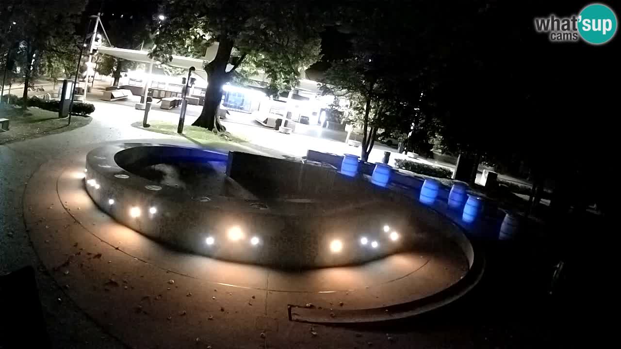 Bier-Springbrunnen Webcam Žalec – Grünen Goldes