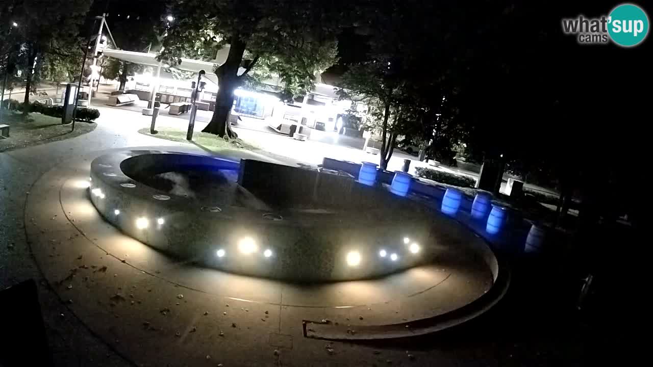 Fontana di birra Webcam – Oro verde – Žalec
