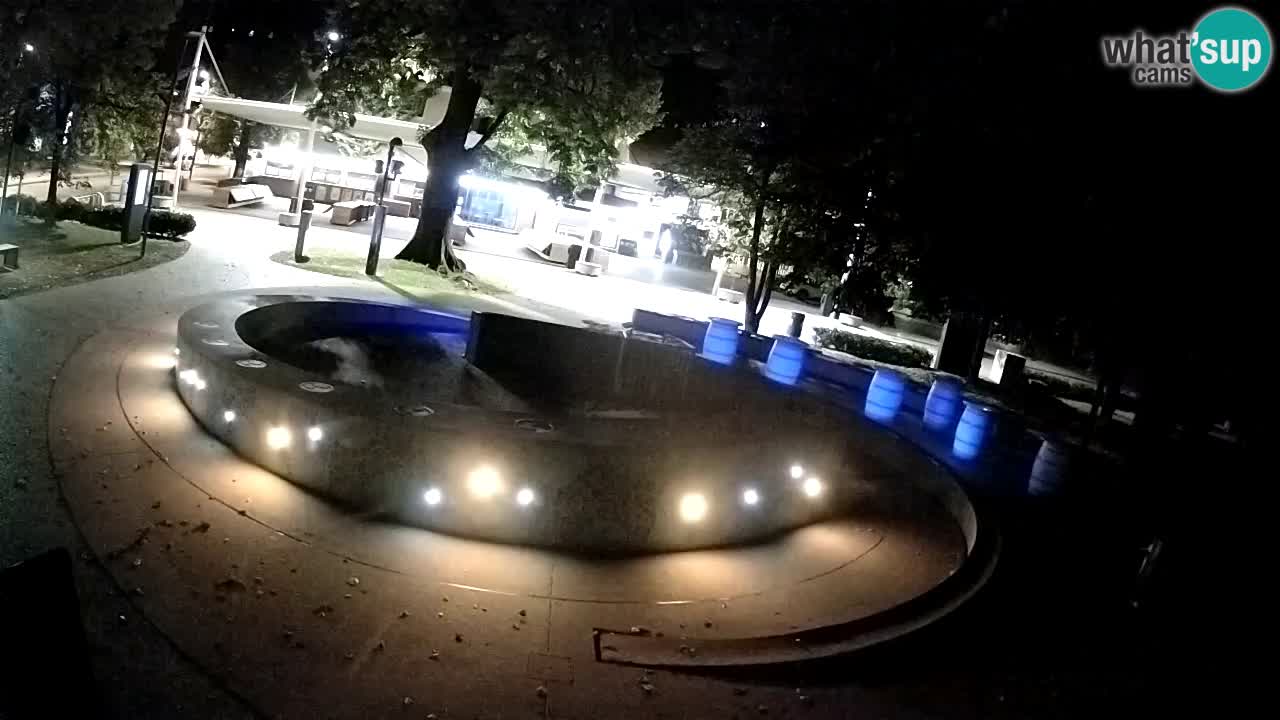 Fontaine à bière LIVE webcam – Or vert – Žalec