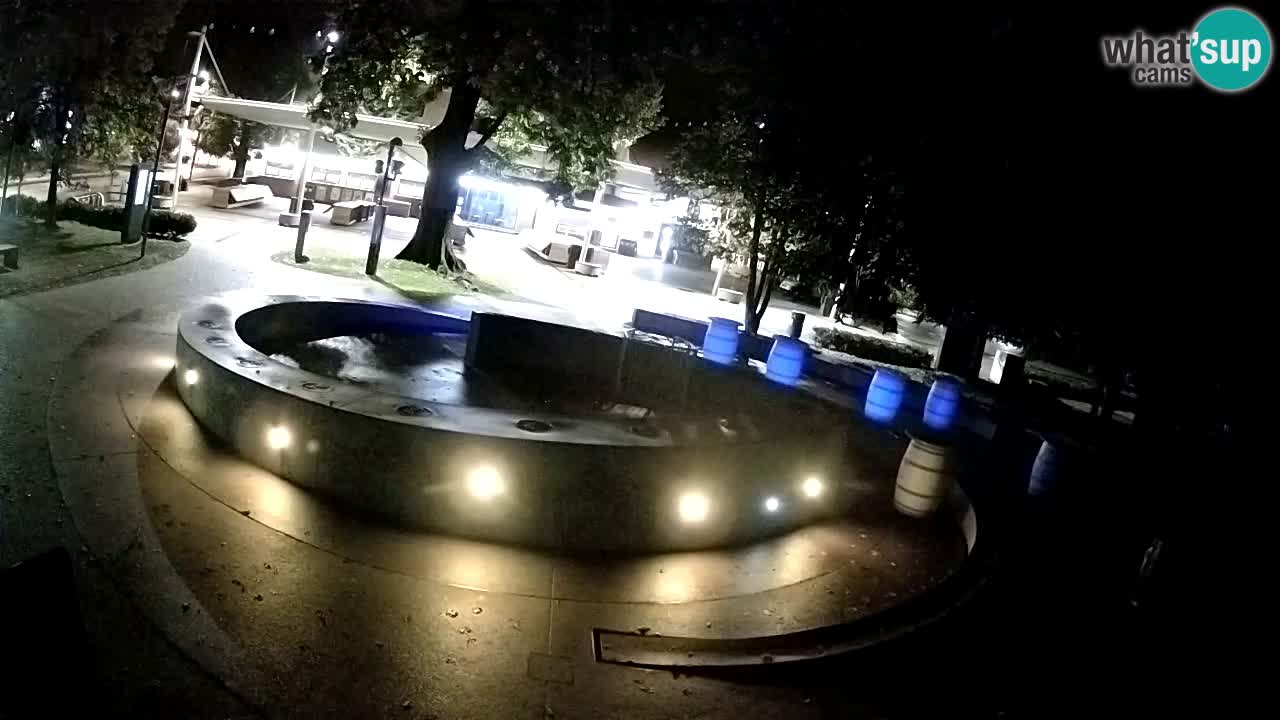 Camera en vivo Fuente de cerveza – Oro verde – Žalec