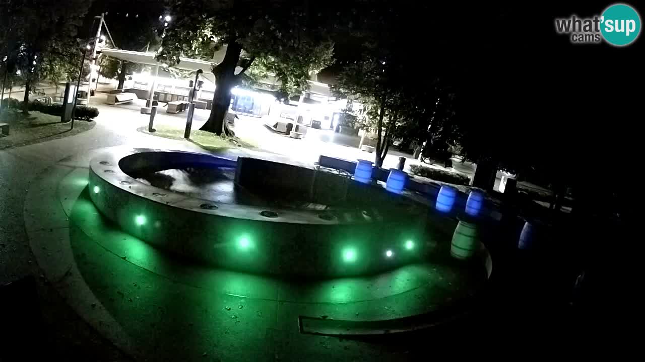 Camera en vivo Fuente de cerveza – Oro verde – Žalec