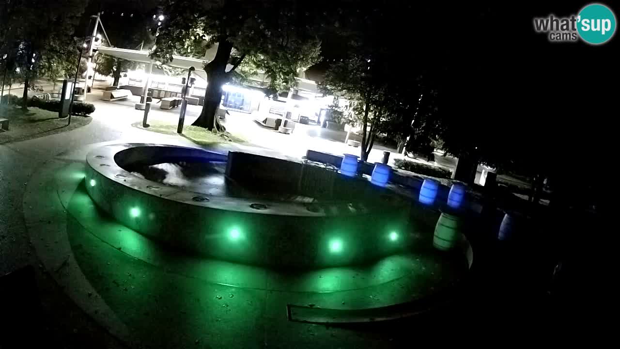 Camera en vivo Fuente de cerveza – Oro verde – Žalec