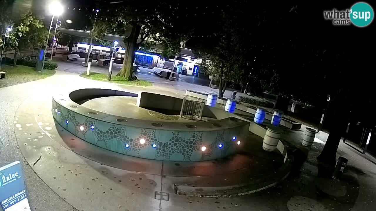Spletna kamera Fontana Piv – Zeleno zlato Žalec