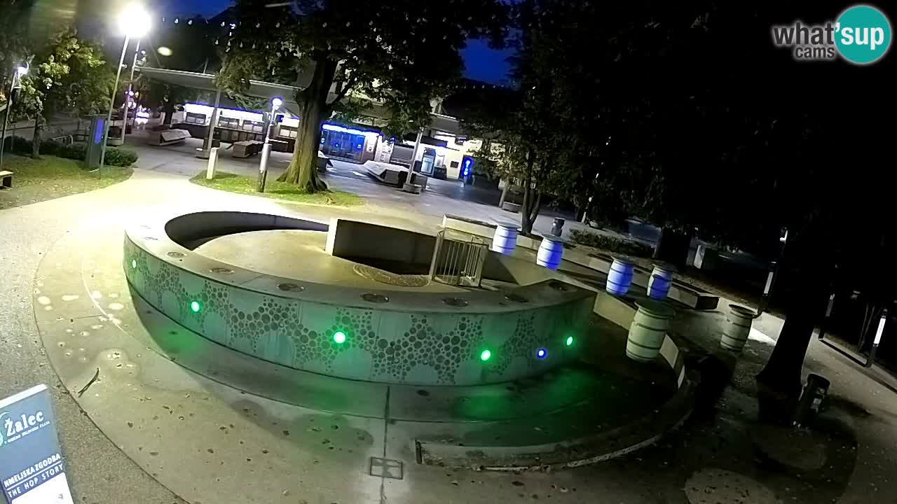 Camera en vivo Fuente de cerveza – Oro verde – Žalec