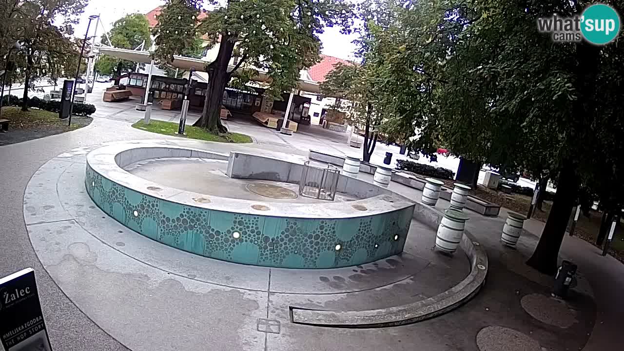 Bier-Springbrunnen Webcam Žalec – Grünen Goldes