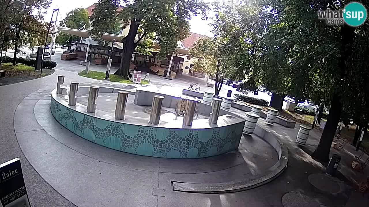 Spletna kamera Fontana Piv – Zeleno zlato Žalec