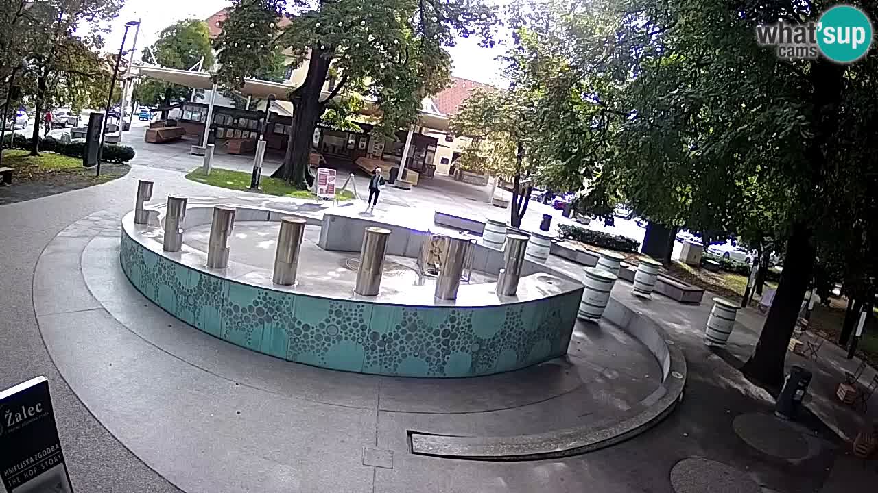 Web kamera Fontana piva – Zeleno zlato – Žalec
