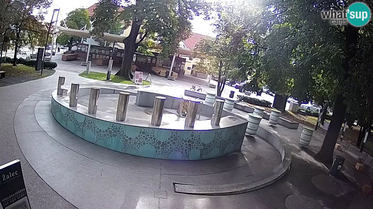 Fontaine à bière LIVE webcam – Or vert – Žalec
