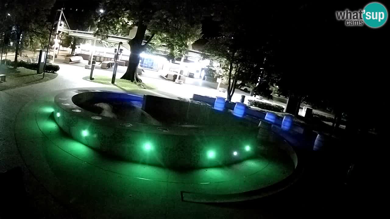Spletna kamera Fontana Piv – Zeleno zlato Žalec