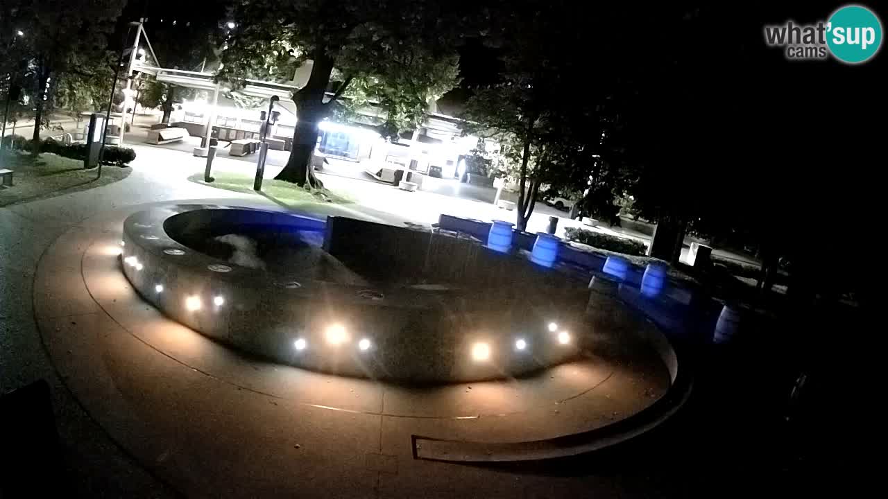 Fontana di birra Webcam – Oro verde – Žalec