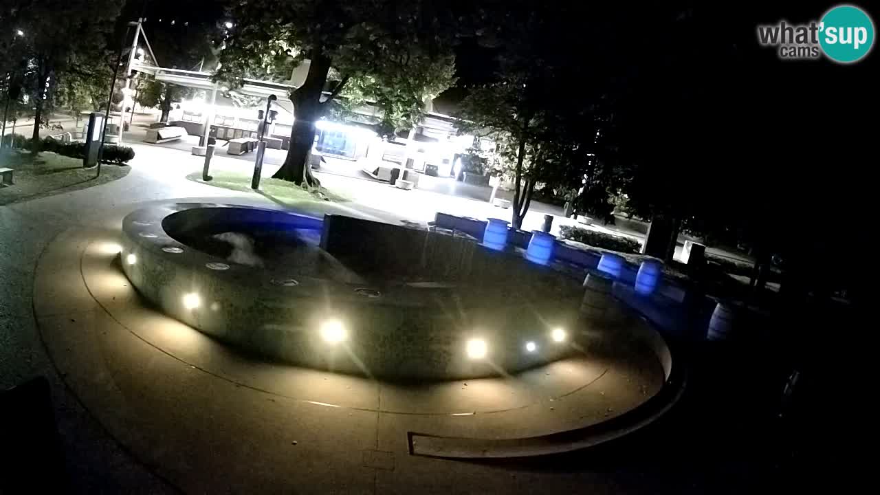 Camera en vivo Fuente de cerveza – Oro verde – Žalec