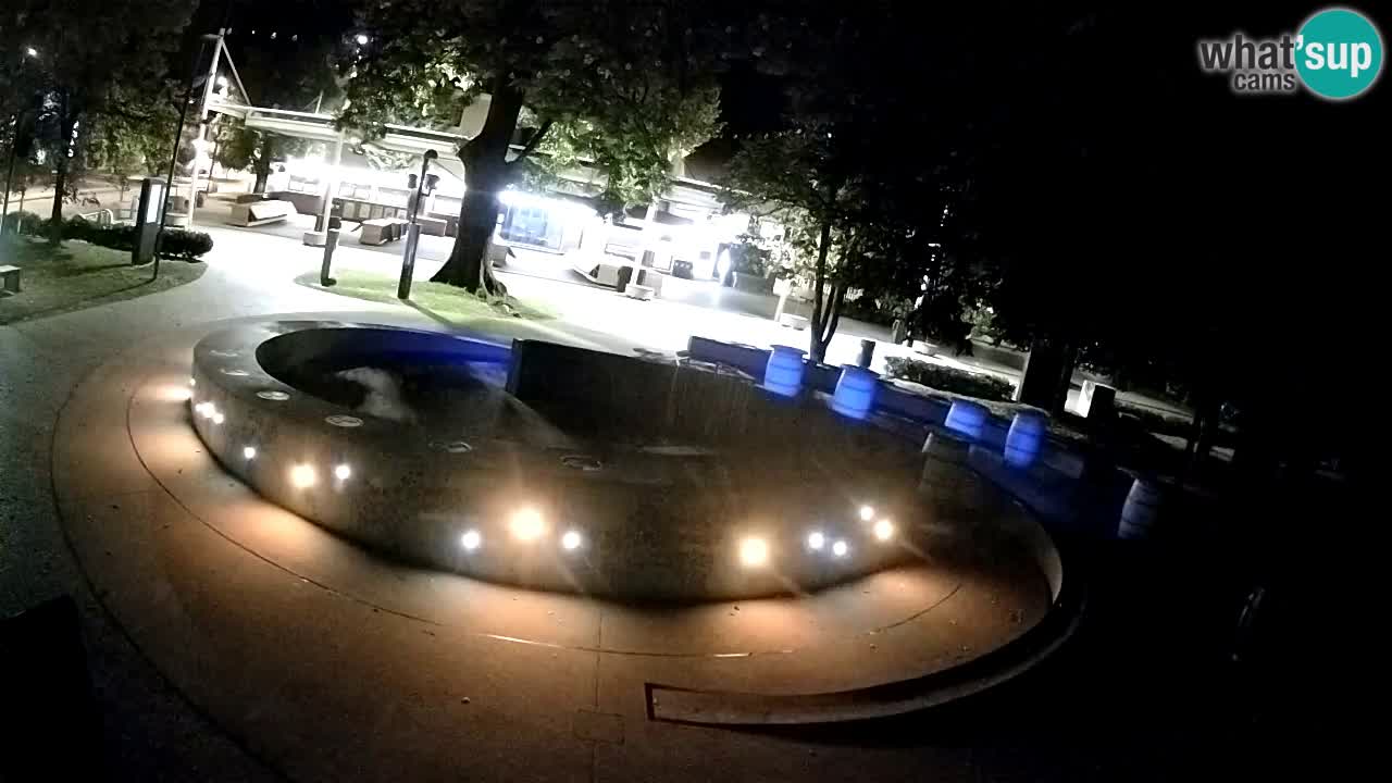 Spletna kamera Fontana Piv – Zeleno zlato Žalec
