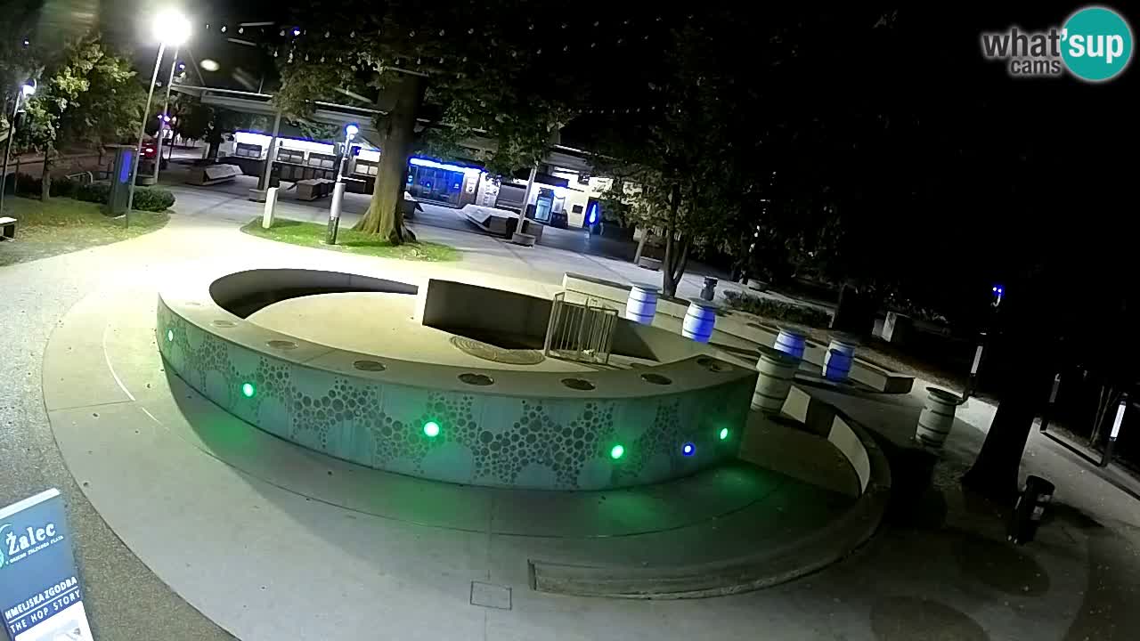 Camera en vivo Fuente de cerveza – Oro verde – Žalec
